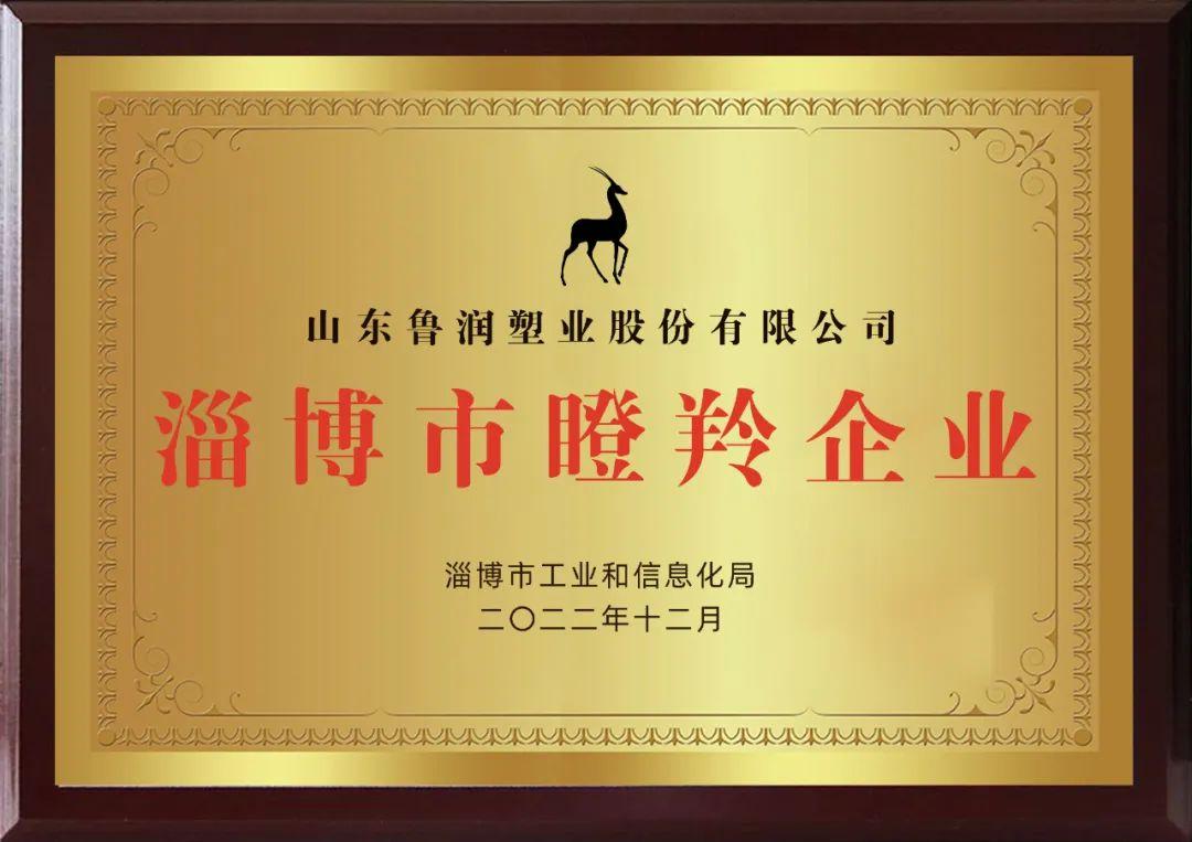 热烈祝贺鲁润塑业成功入选2022年淄博市“瞪羚企业”